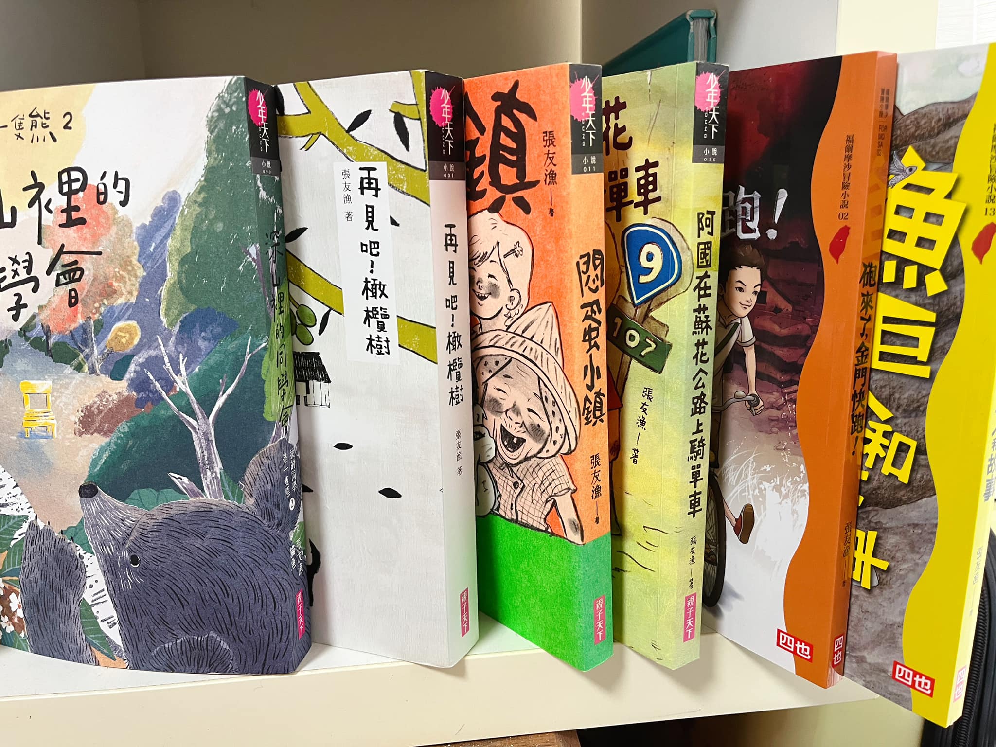 張友漁老師的小說書單
