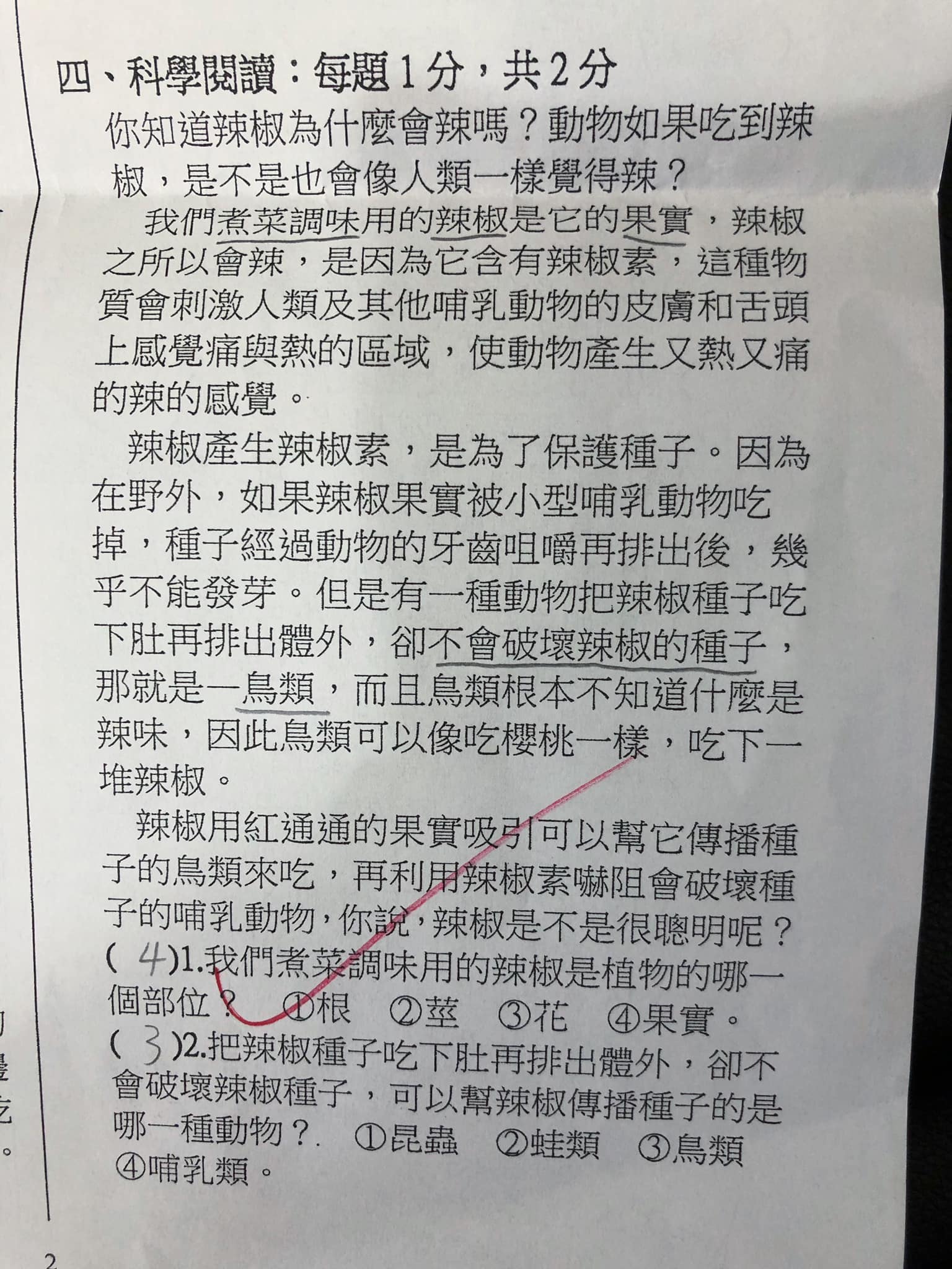 「文字書閱讀」對於孩子在課業學習上的幫助